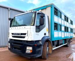 Camión Iveco para ganado ovino Stralis 310