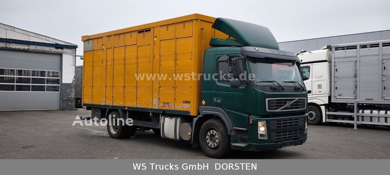 Volvo (FM 260 mit KABA 2 Stock Vollalu Viehtransporter )