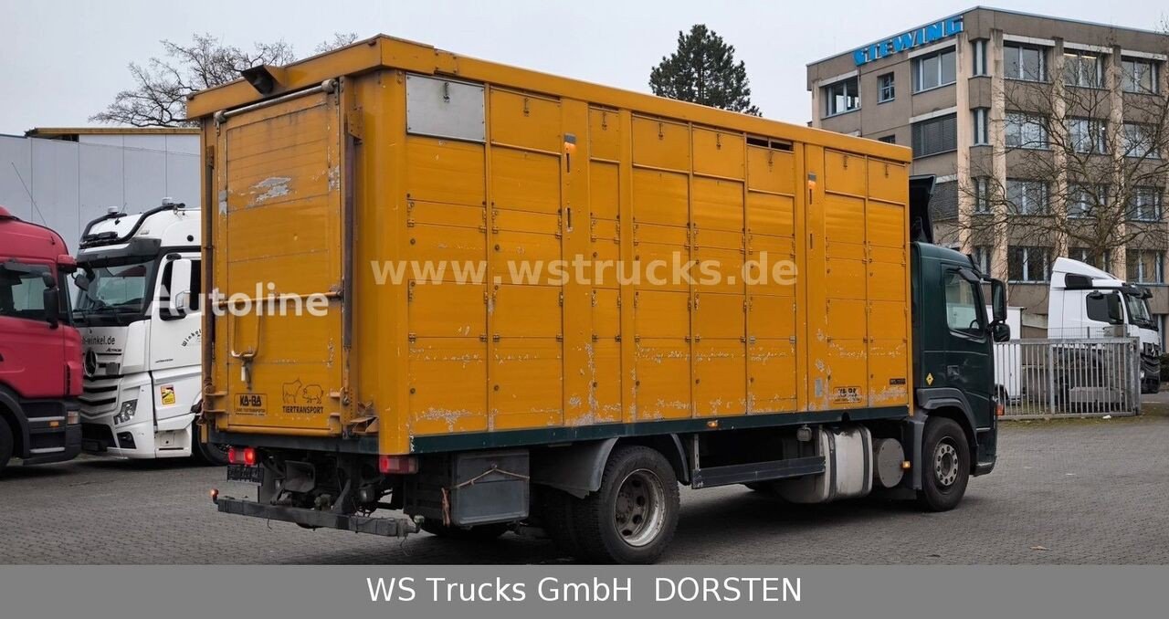 Volvo (FM 260 mit KABA 2 Stock Vollalu Viehtransporter )