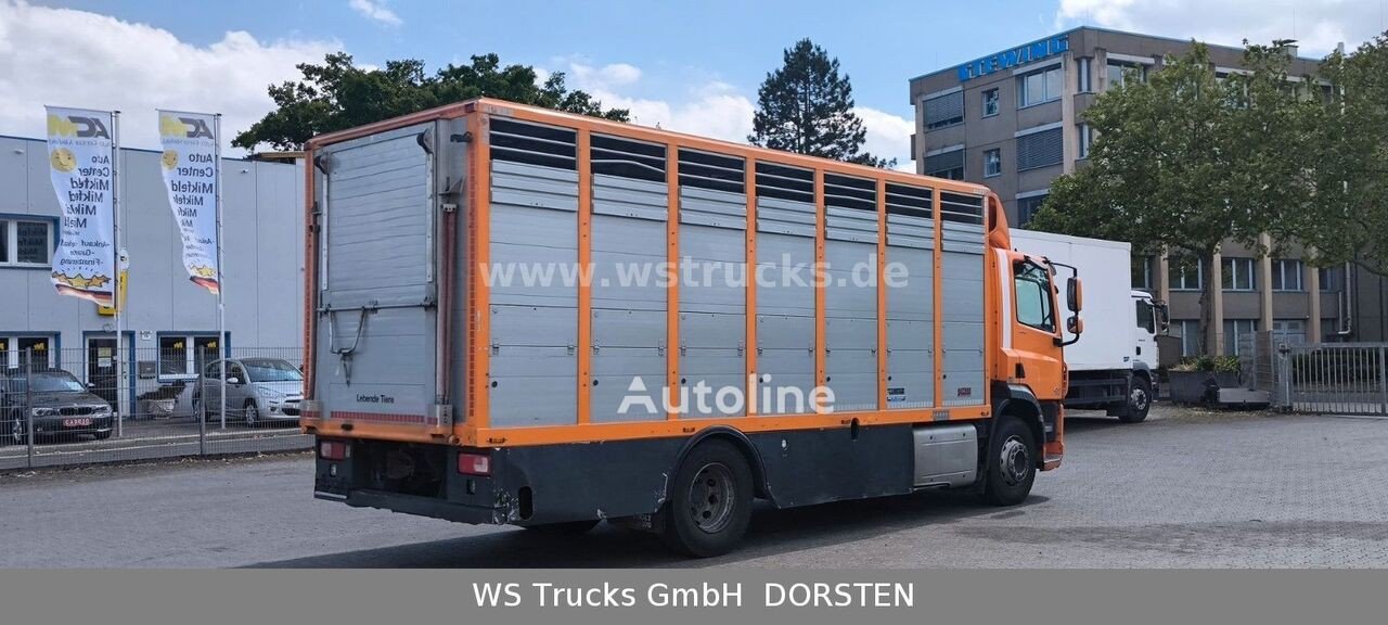 DAF (CF 400 Menke Einstock Viehtransporter )